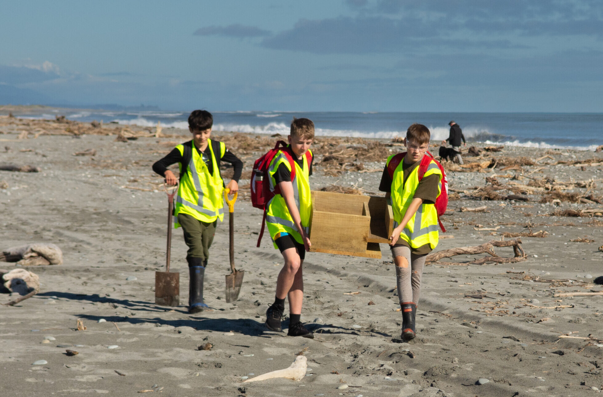 students with penguin nest boxes